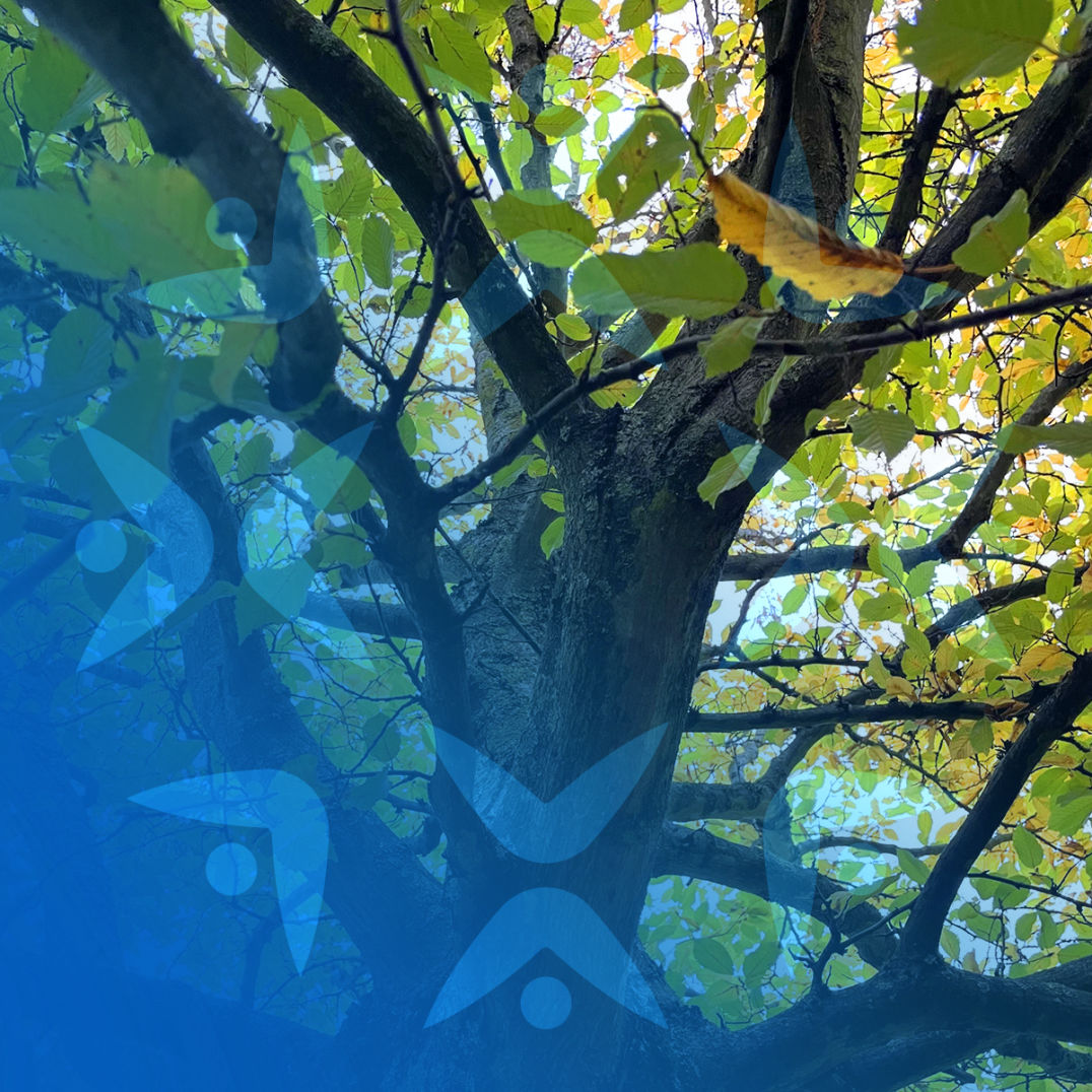 AKM - Beratung - Coaching - Training - Andrea Klaus-Möller